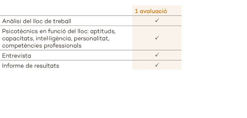 Selecció de Personal - Avaluació